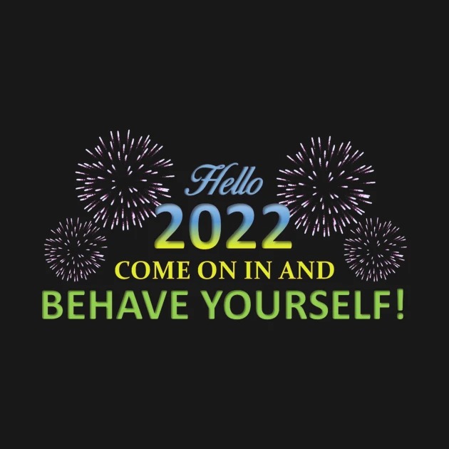 Hello 2022 Come On In And Behave Yourself Firework T-Shirt